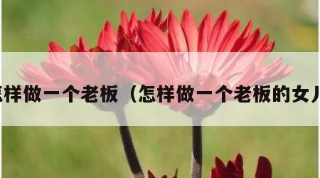 怎样做一个老板（怎样做一个老板的女儿）