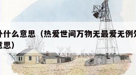 例外什么意思（热爱世间万物无最爱无例外什么意思）