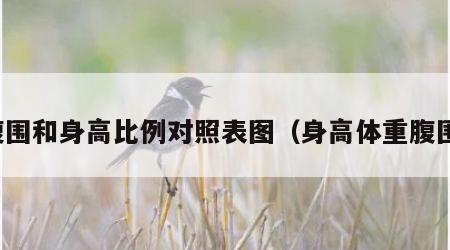 腹围和身高比例对照表图（身高体重腹围）