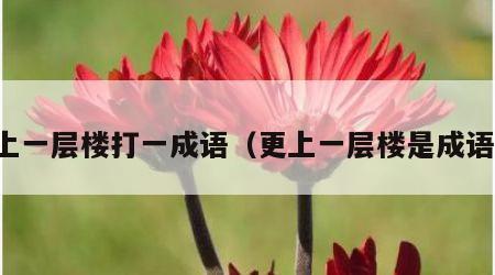 更上一层楼打一成语（更上一层楼是成语么）