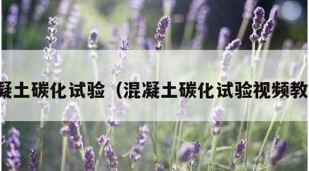混凝土碳化试验（混凝土碳化试验视频教程）