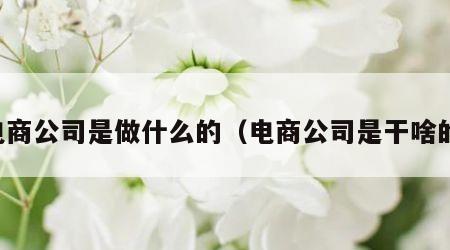 电商公司是做什么的（电商公司是干啥的）