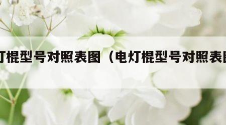 电灯棍型号对照表图（电灯棍型号对照表图片）