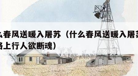 什么春风送暖入屠苏（什么春风送暖入屠苏什么路上行人欲断魂）