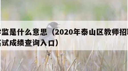 学监是什么意思（2020年泰山区教师招聘笔试成绩查询入口）