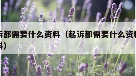 起诉都需要什么资料（起诉都需要什么资料和材料）