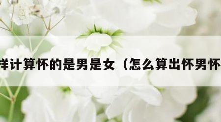 怎样计算怀的是男是女（怎么算出怀男怀女）