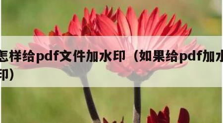 怎样给pdf文件加水印（如果给pdf加水印）