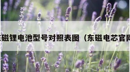 东磁锂电池型号对照表图（东磁电芯官网）