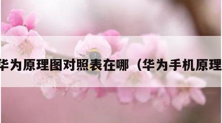 华为原理图对照表在哪（华为手机原理）