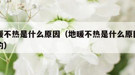 地暖不热是什么原因（地暖不热是什么原因引起的）
