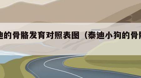 泰迪的骨骼发育对照表图（泰迪小狗的骨骼图片）