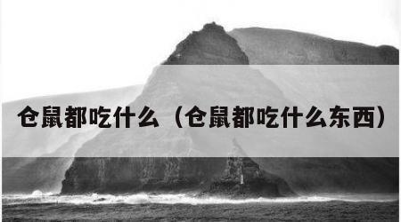 仓鼠都吃什么（仓鼠都吃什么东西）