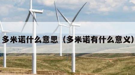 多米诺什么意思（多米诺有什么意义）