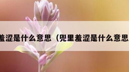 羞涩是什么意思（兜里羞涩是什么意思）