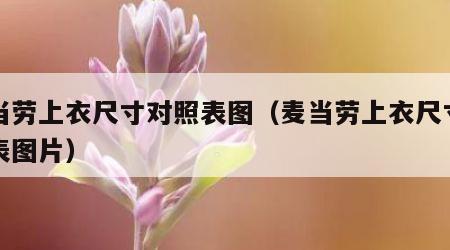 麦当劳上衣尺寸对照表图（麦当劳上衣尺寸对照表图片）