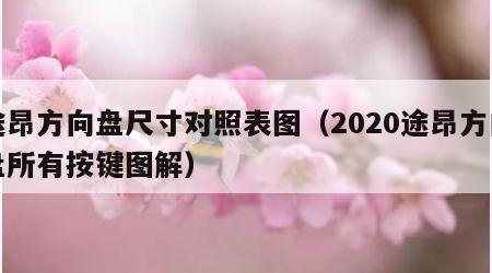 途昂方向盘尺寸对照表图（2020途昂方向盘所有按键图解）