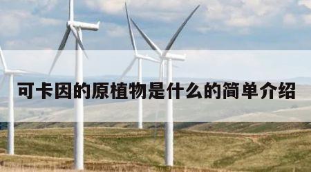 可卡因的原植物是什么的简单介绍