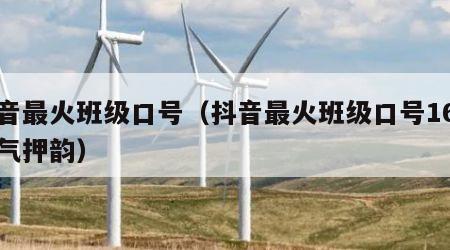 抖音最火班级口号（抖音最火班级口号16字霸气押韵）