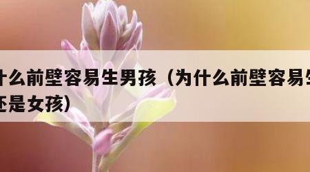 为什么前壁容易生男孩（为什么前壁容易生男孩还是女孩）