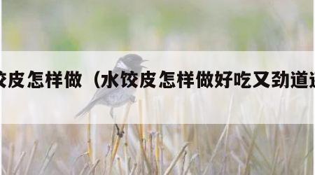 水饺皮怎样做（水饺皮怎样做好吃又劲道还不破）