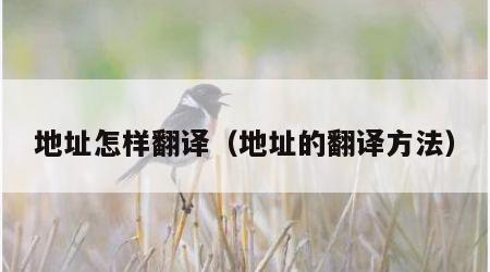 地址怎样翻译（地址的翻译方法）