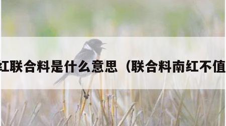 南红联合料是什么意思（联合料南红不值钱）