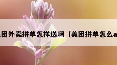 美团外卖拼单怎样送啊（美团拼单怎么aa）