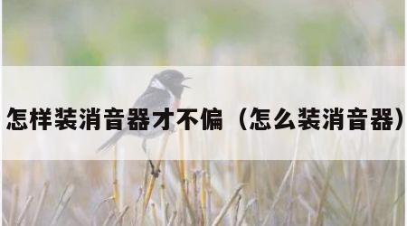 怎样装消音器才不偏（怎么装消音器）