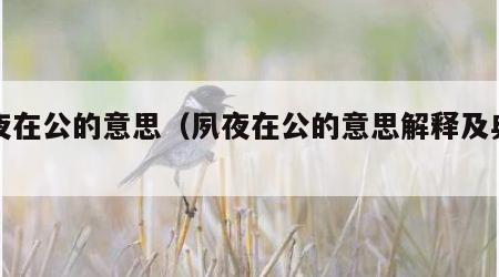 夙夜在公的意思（夙夜在公的意思解释及典故）
