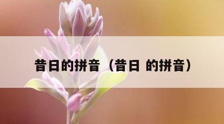 昔日的拼音（昔日 的拼音）