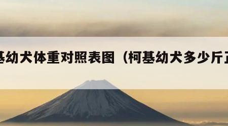 柯基幼犬体重对照表图（柯基幼犬多少斤正常）
