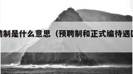 预聘制是什么意思（预聘制和正式编待遇区别）