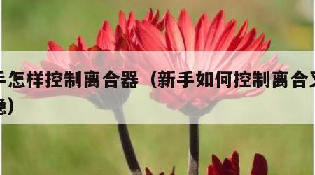新手怎样控制离合器（新手如何控制离合又慢又稳）