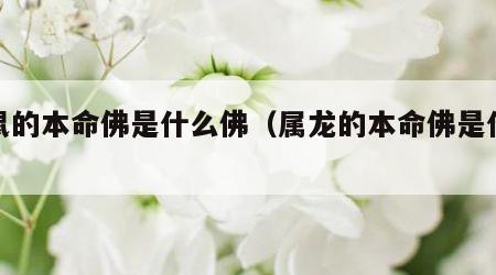 属鼠的本命佛是什么佛（属龙的本命佛是什么佛）