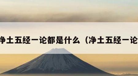 净土五经一论都是什么（净土五经一论）