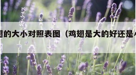 鸡翅的大小对照表图（鸡翅是大的好还是小的好）