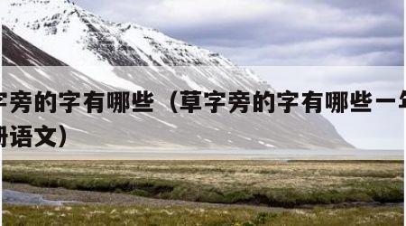 草字旁的字有哪些（草字旁的字有哪些一年级上册语文）