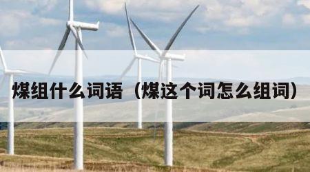 煤组什么词语（煤这个词怎么组词）