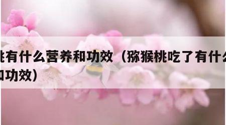 樱桃有什么营养和功效（猕猴桃吃了有什么作用和功效）