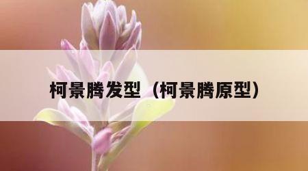 柯景腾发型（柯景腾原型）