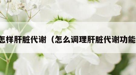 怎样肝脏代谢（怎么调理肝脏代谢功能）
