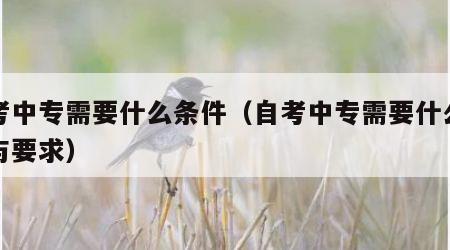 自考中专需要什么条件（自考中专需要什么条件与要求）