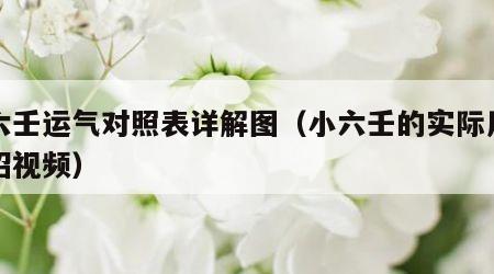 小六壬运气对照表详解图（小六壬的实际用法绝招视频）