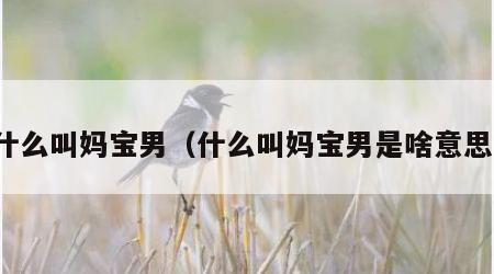 什么叫妈宝男（什么叫妈宝男是啥意思）