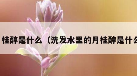 月桂醇是什么（洗发水里的月桂醇是什么）