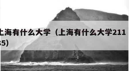 上海有什么大学（上海有什么大学211 985）