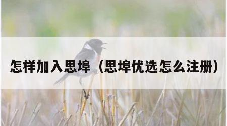 怎样加入思埠（思埠优选怎么注册）
