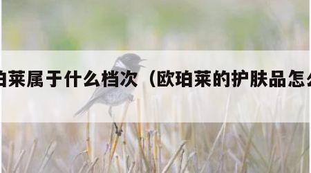 欧珀莱属于什么档次（欧珀莱的护肤品怎么样）