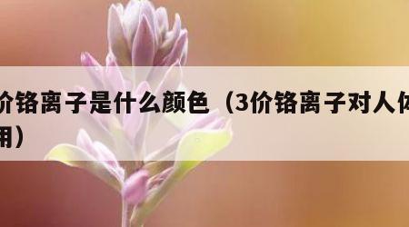 三价铬离子是什么颜色（3价铬离子对人体的作用）
